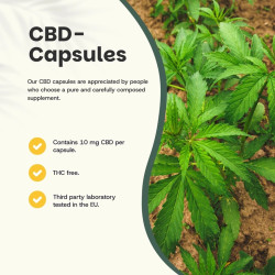 CBD Cannabidiol 99% - 10 mg - 60 cápsulas